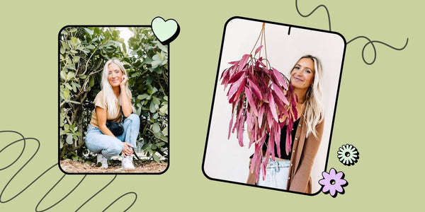 Monday Must: AMA: Samantha Hermann