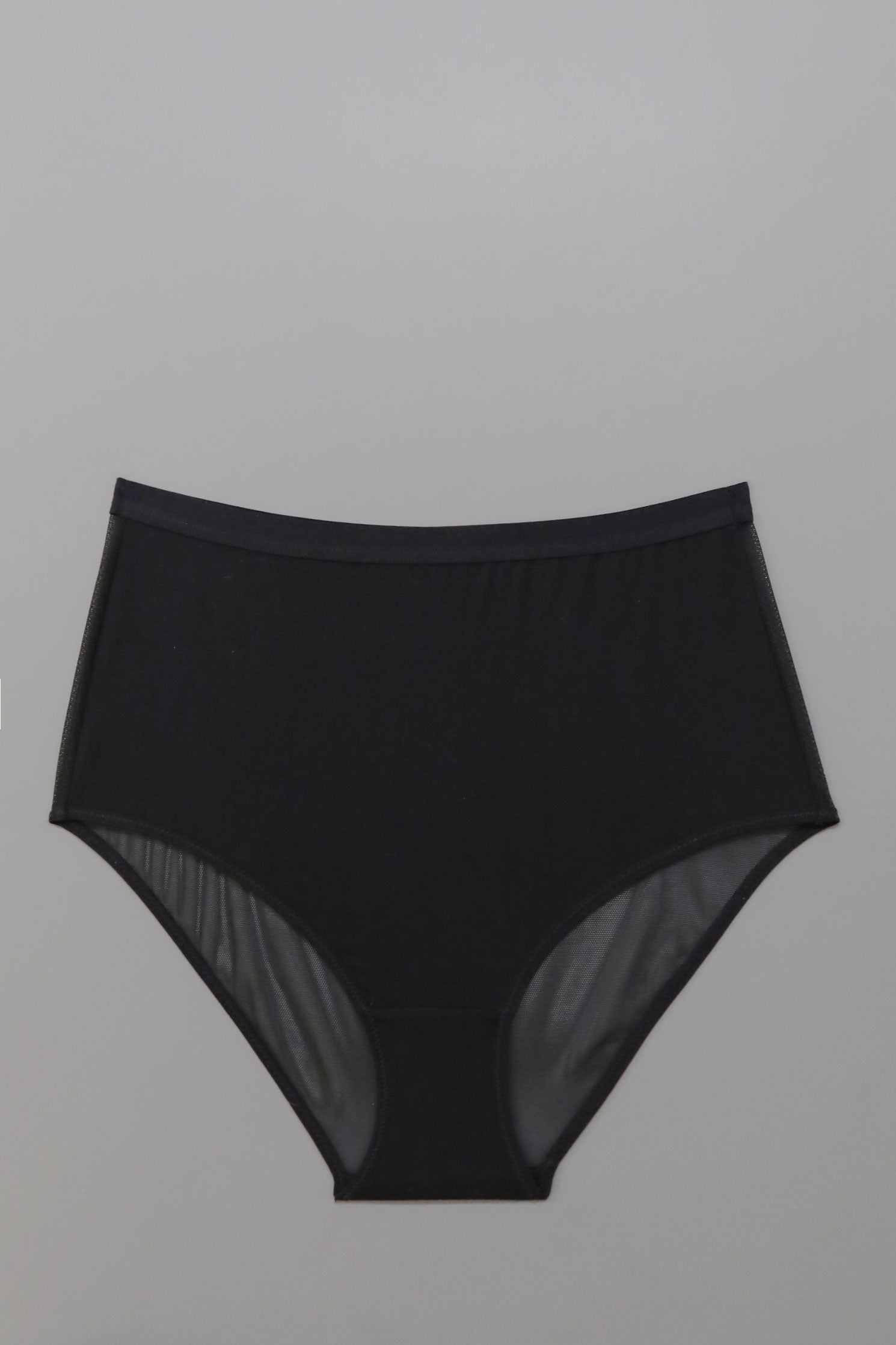 Lux High Waist Brief in Black Sample - MARY YOUNG